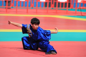 102 wu shu 3